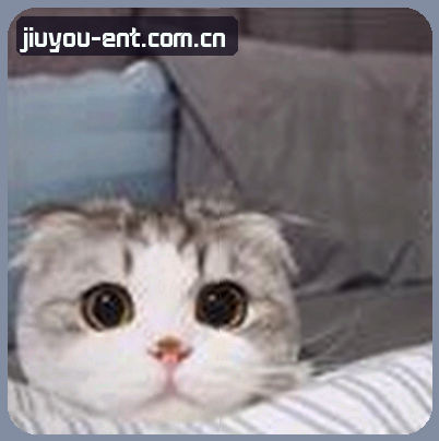 吴鑫